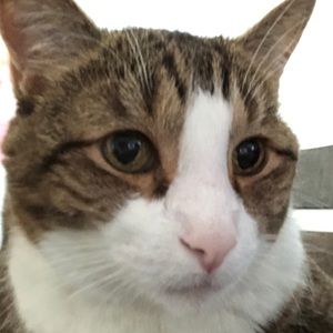 Meet your Posher, Jeff